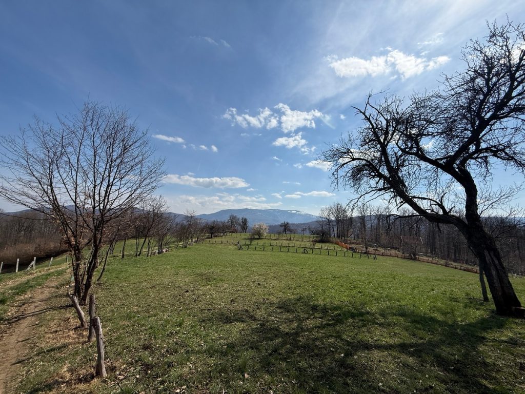 VILENICA U SRCU | Od gradskog asfalta do planinskog mira: Reportaža o putu koji odmara dušu i tijelo (FOTO)