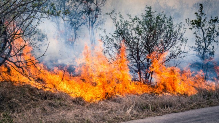 36028_bushfire-burning-at-kruger-park-in-south-africa-2024-07-03-02-44-13-utc_s