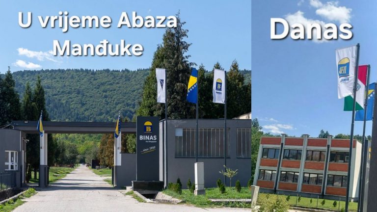 binisa zastava
